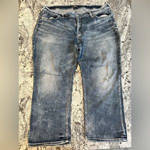 Silver Jeans Women’s Plus Avery Skinny Crop, SZ24, blue